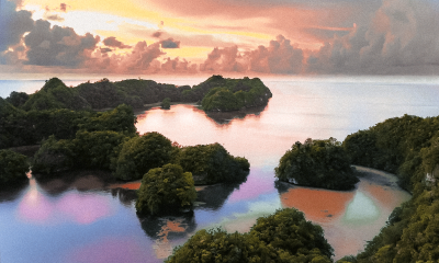 Discover-Palau